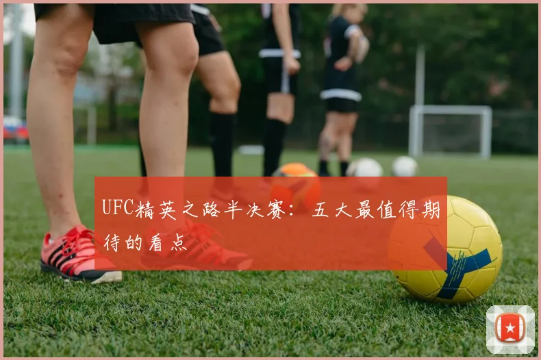 UFC精英之路半决赛:五大最值得期待的看点