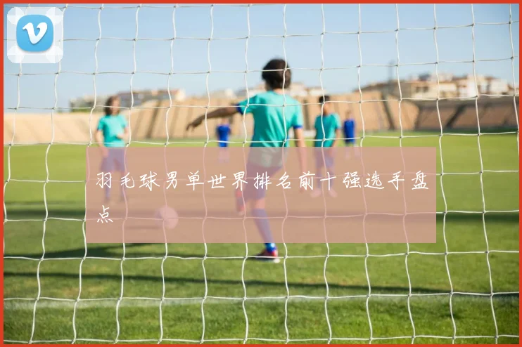羽毛球男单世界排名前十强选手盘点