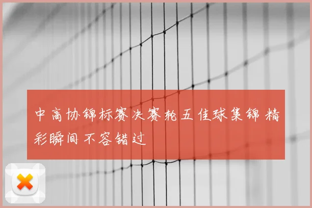 中高协锦标赛决赛轮五佳球集锦 精彩瞬间不容错过