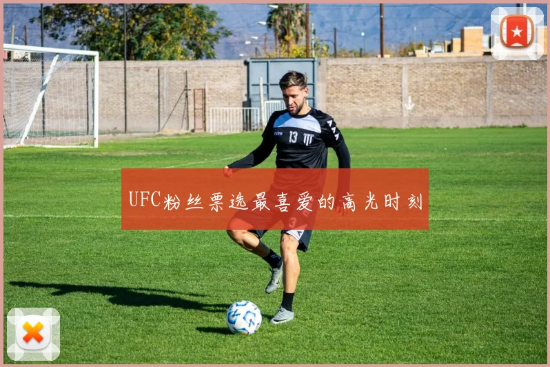 UFC粉丝票选最喜爱的高光时刻