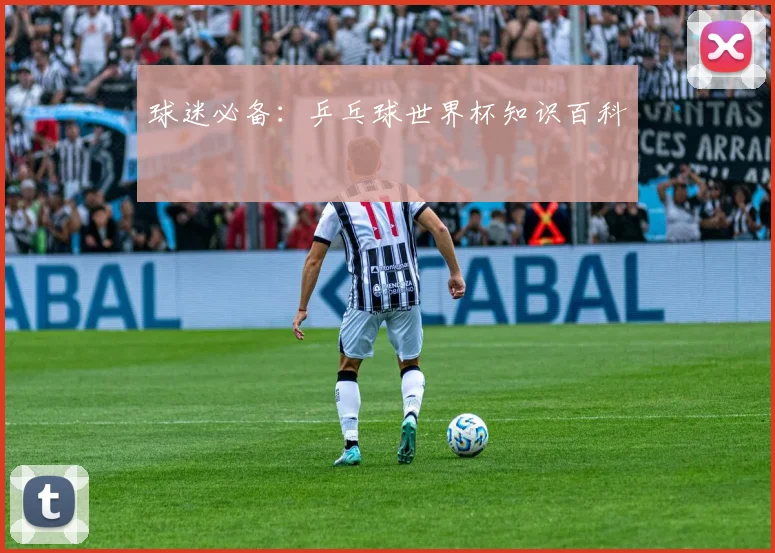 球迷必备:乒乓球世界杯知识百科