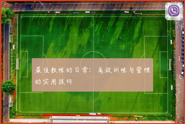 最佳教练的日常:高效训练与管理的实用技巧