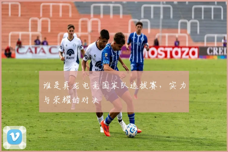 谁是真龙电竞国家队选拔赛,实力与荣耀的对决