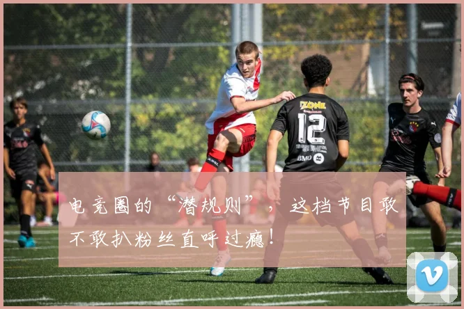 电竞圈的“潜规则”，这档节目敢不敢扒粉丝直呼过瘾！