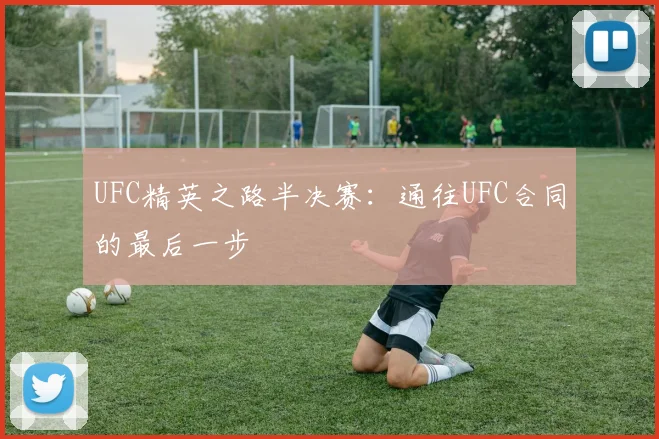 UFC精英之路半决赛:通往UFC合同的最后一步