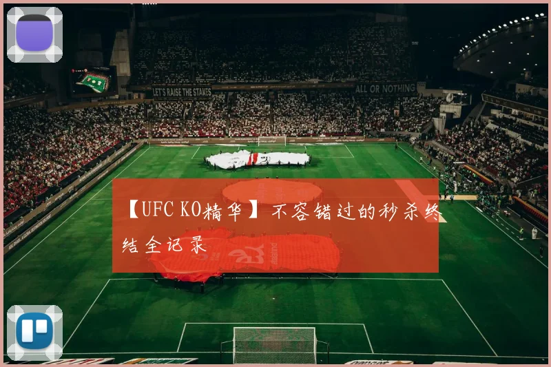 【UFC KO精华】不容错过的秒杀终结全记录